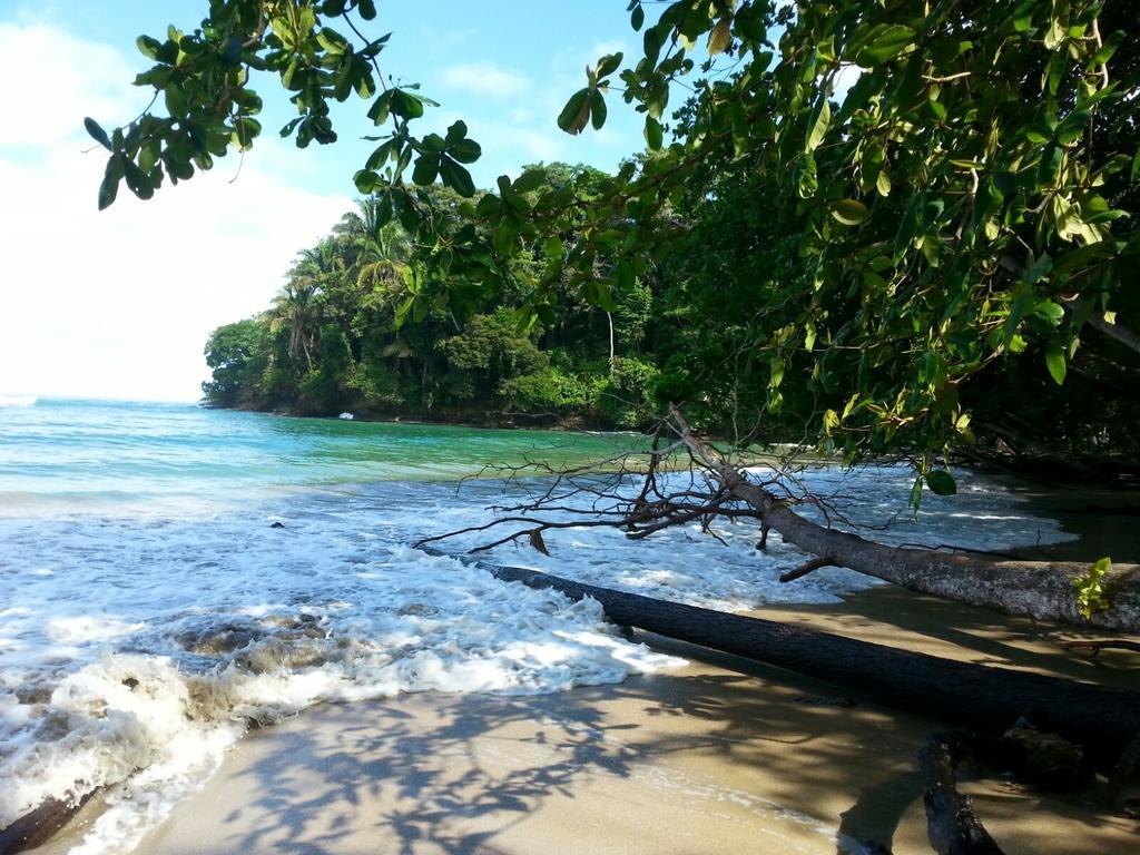 Mar Verde Lodge Puerto Viejo de Talamanca ภายนอก รูปภาพ