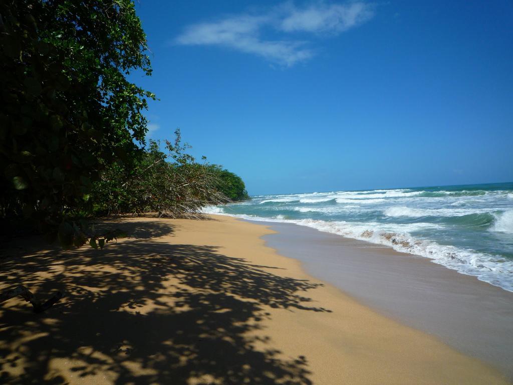 Mar Verde Lodge Puerto Viejo de Talamanca ภายนอก รูปภาพ