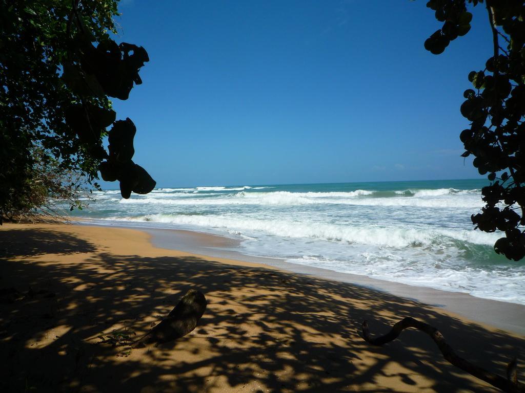 Mar Verde Lodge Puerto Viejo de Talamanca ภายนอก รูปภาพ