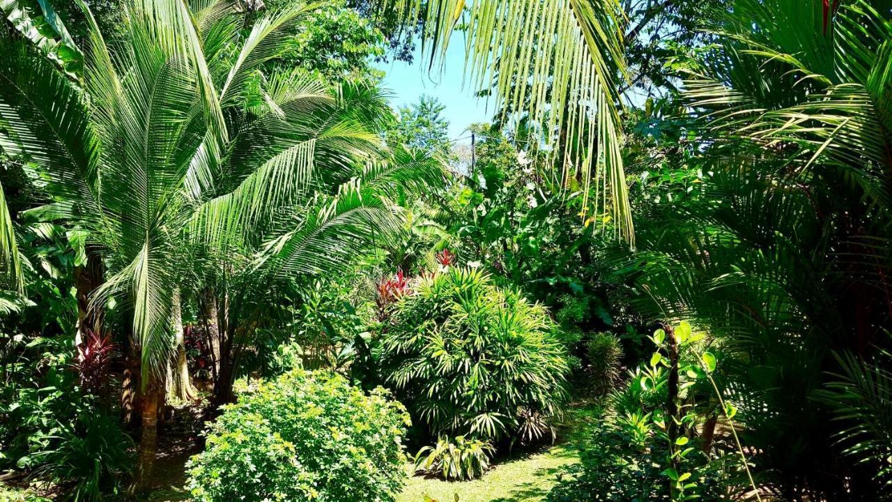 Mar Verde Lodge Puerto Viejo de Talamanca ภายนอก รูปภาพ
