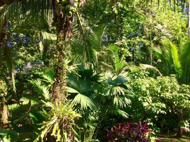 Mar Verde Lodge Puerto Viejo de Talamanca ภายนอก รูปภาพ