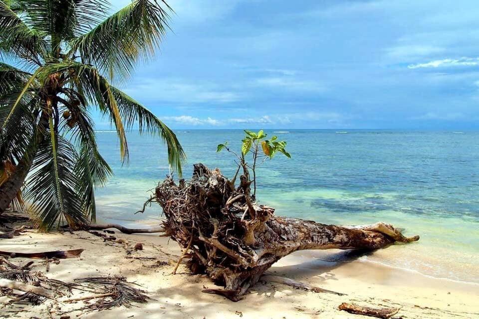 Mar Verde Lodge Puerto Viejo de Talamanca ภายนอก รูปภาพ