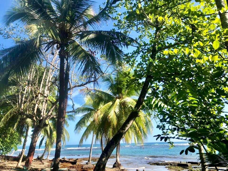 Mar Verde Lodge Puerto Viejo de Talamanca ภายนอก รูปภาพ